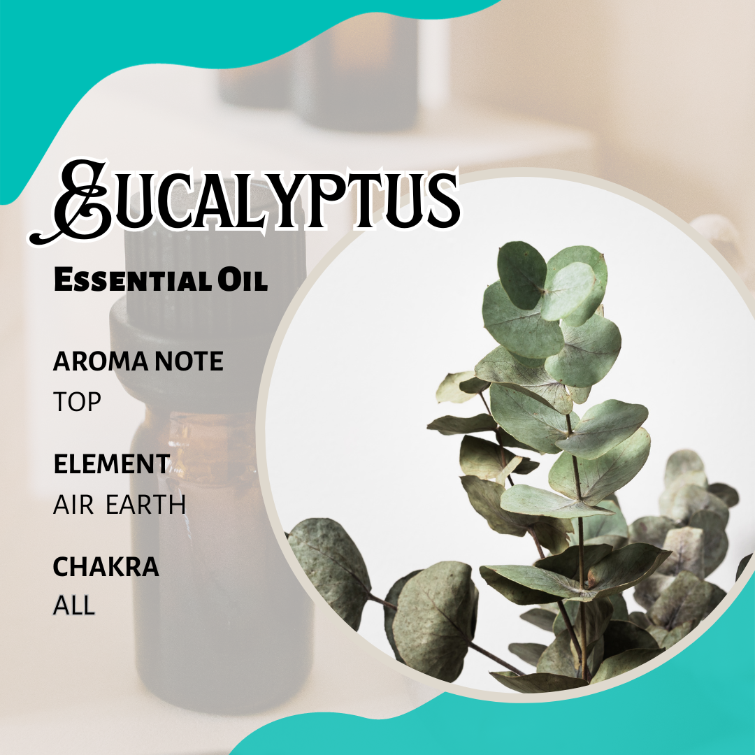 尤加利香薰精油  Eucalyptus Essential Oil 10ml