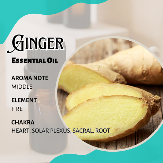 姜香薰精油  Ginger Essential Oil 10ml