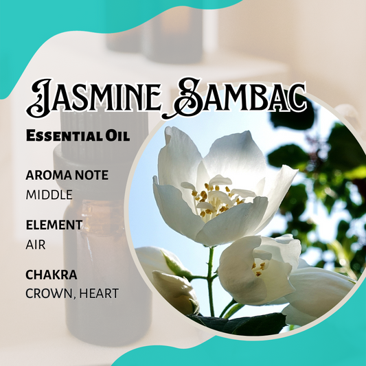 茉莉香薰精油 Jasmine Sambac Essential Oil
