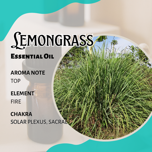 檸檬草香薰精油 Lemongrass Essential Oil 10ml