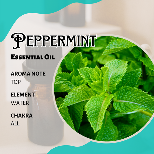 薄荷香薰精油 Peppermint premium  Essential Oil 10ml