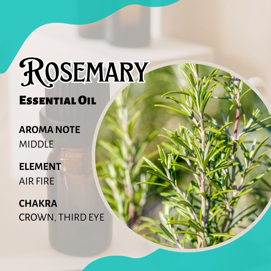 迷迭香香薰精油 Rosemary Essential Oil 10ml