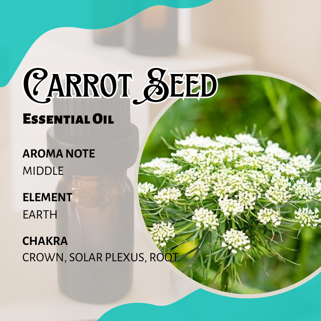 胡蘿蔔籽香薰精油 Carrot Seed Essential Oil 10ml