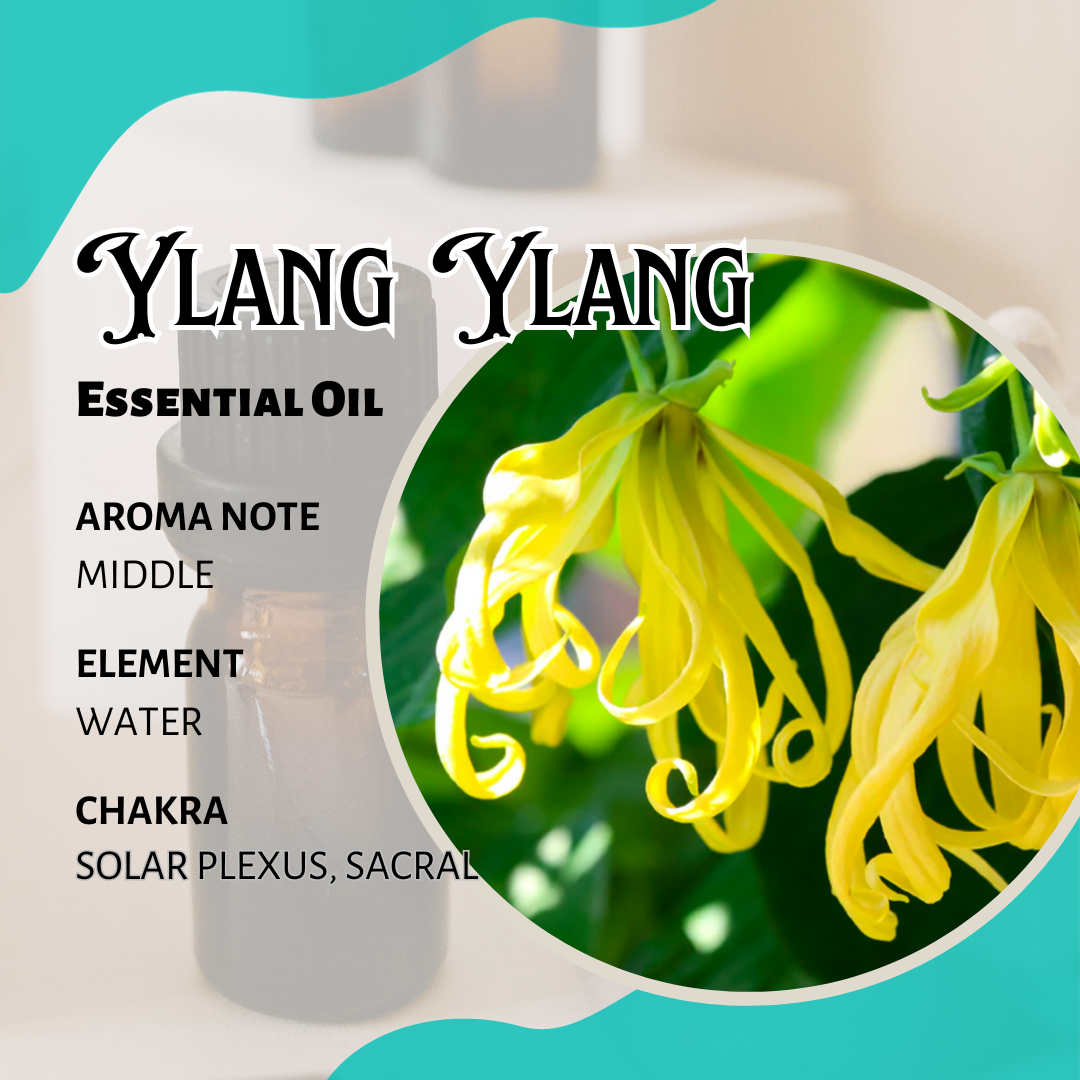 依蘭依蘭1st香薰精油 Ylang Ylang 1st Essential Oil 10ml