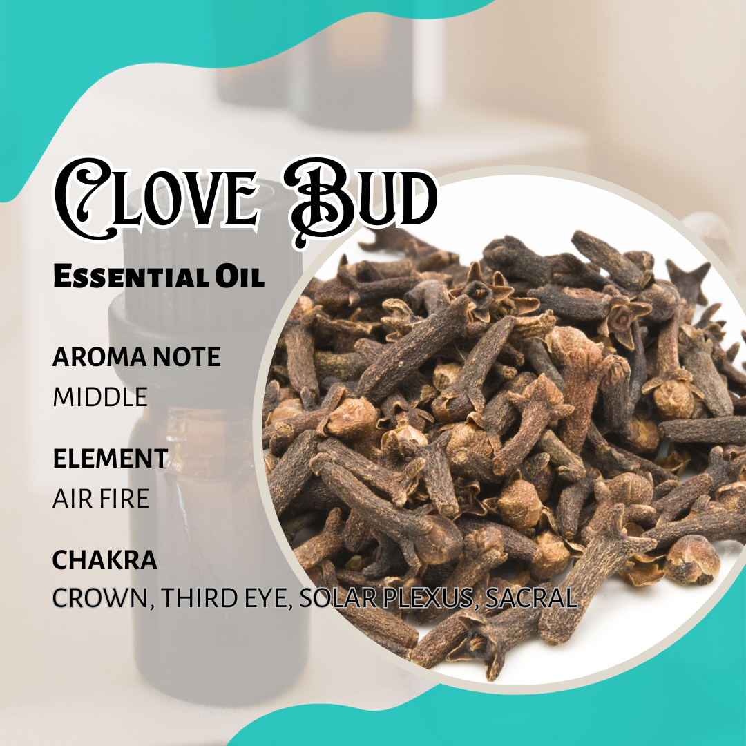 丁香香薰精油 Clove Bud Essential Oil 10ml