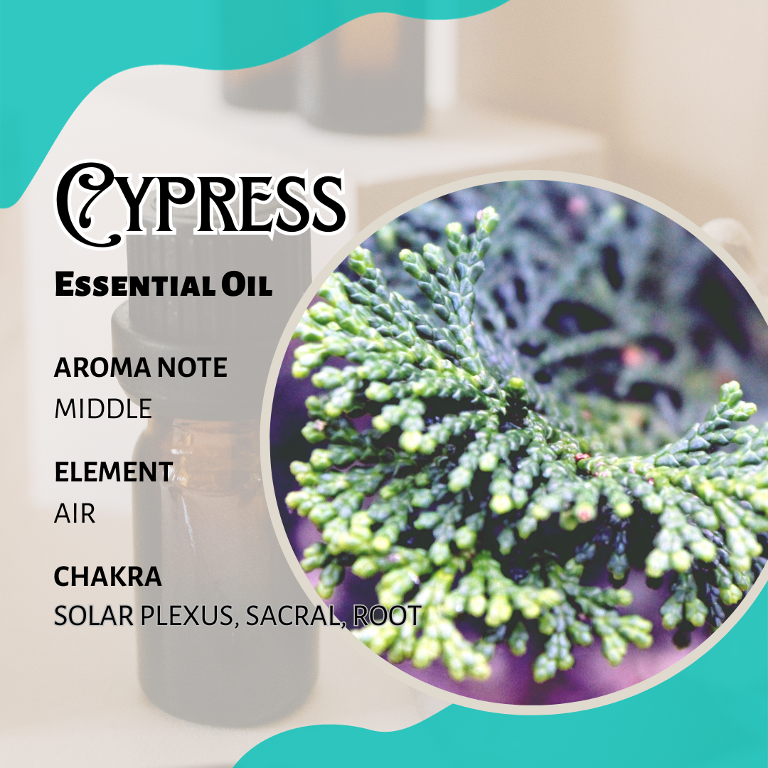 法國絲柏香薰精油 Cypress French Essential Oil 10ml